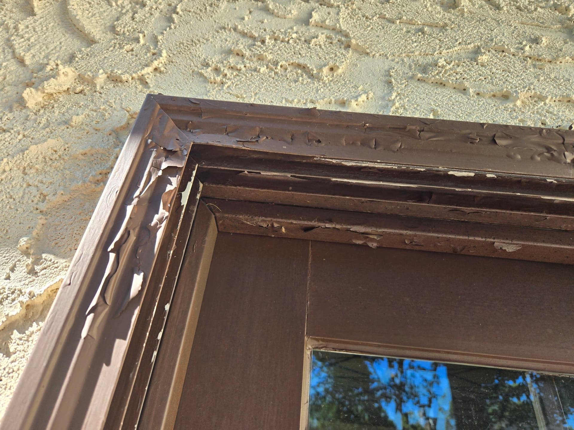 Stunning Door Revamp with Expert Painting image