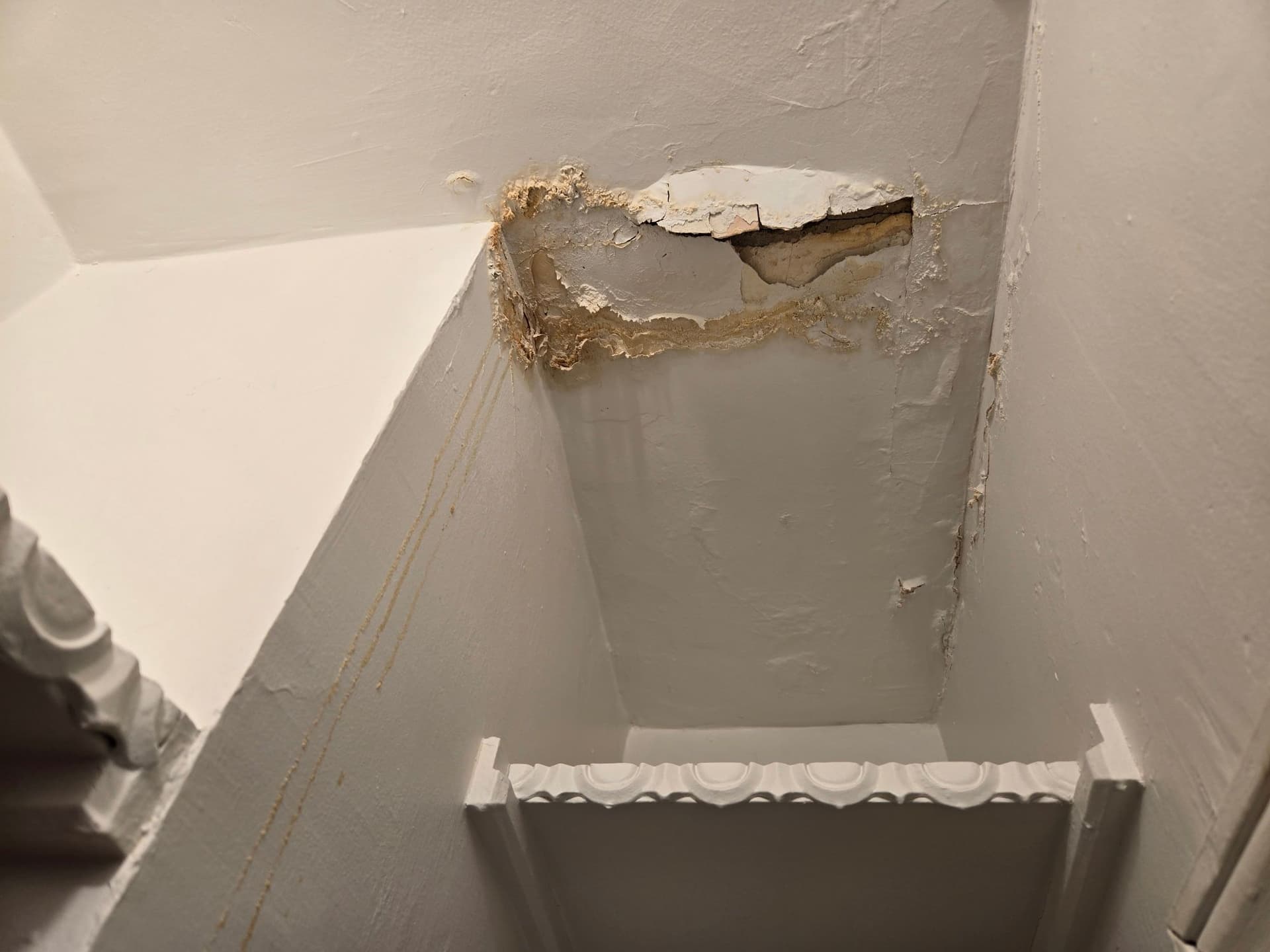 Gallery photos for Ceiling Transformation at Brushworks Of Rye Inc: Image #1