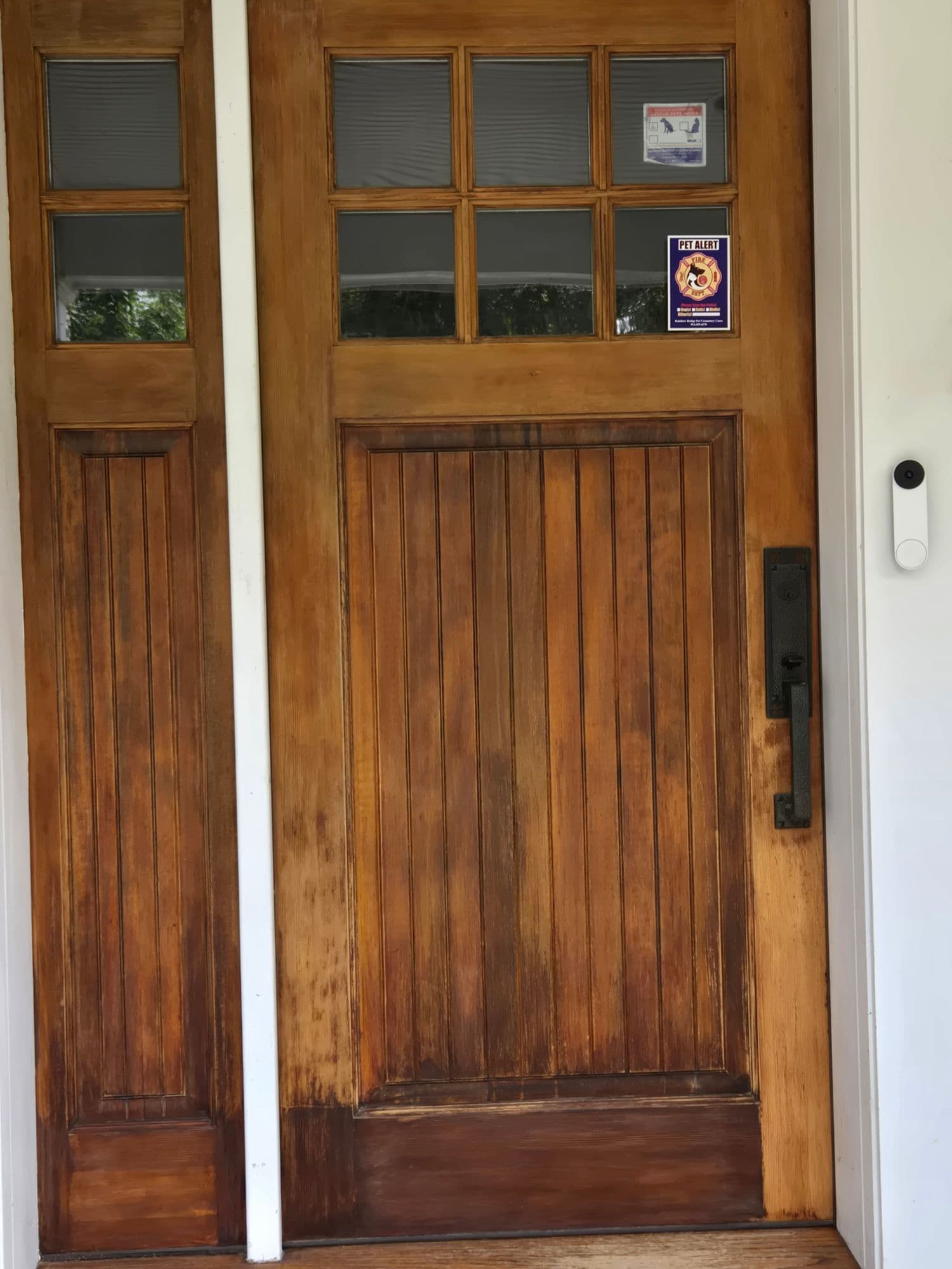 Project Dramatic Door Transformation by Brushworks of Rye image
