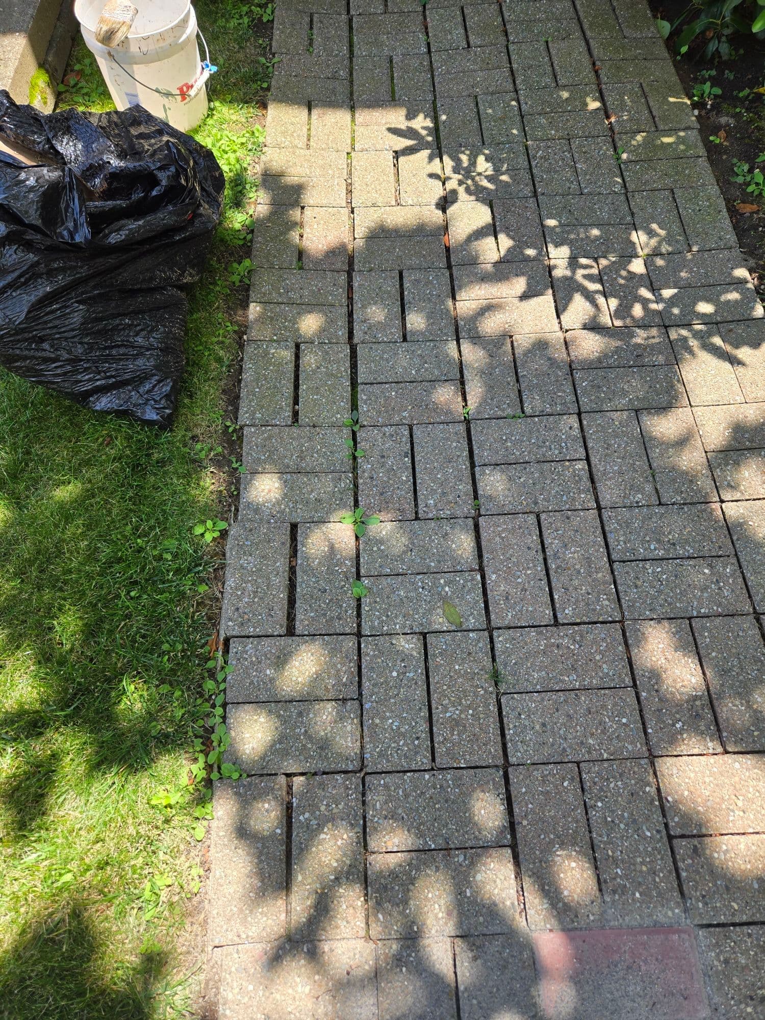 Transform Your Paths with Stunning New Pavers image