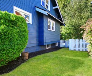Blue house exterior with backyard area. Gren lawn with trimmed hedge and white wooden fence Blue house with white trim, small lawn, trimmed hedges, a white picket fence, and shrubs in a sunny yard.